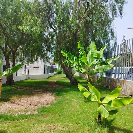 Sibil House Arona (Tenerife)