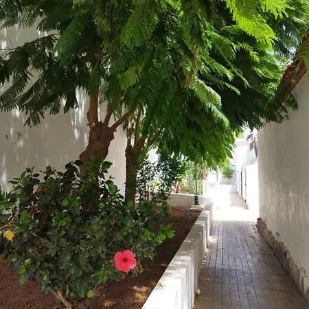 Διαμέρισμα Sibil House Costa Del Silencio